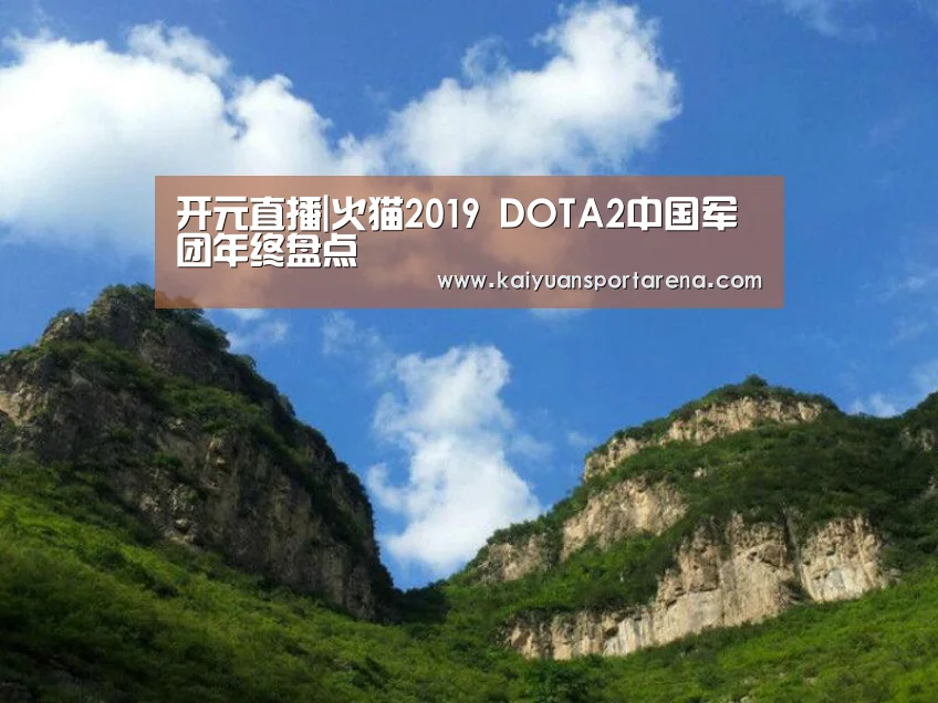 开元直播|火猫2019 DOTA2中国军团年终盘点(图1) 开元体育