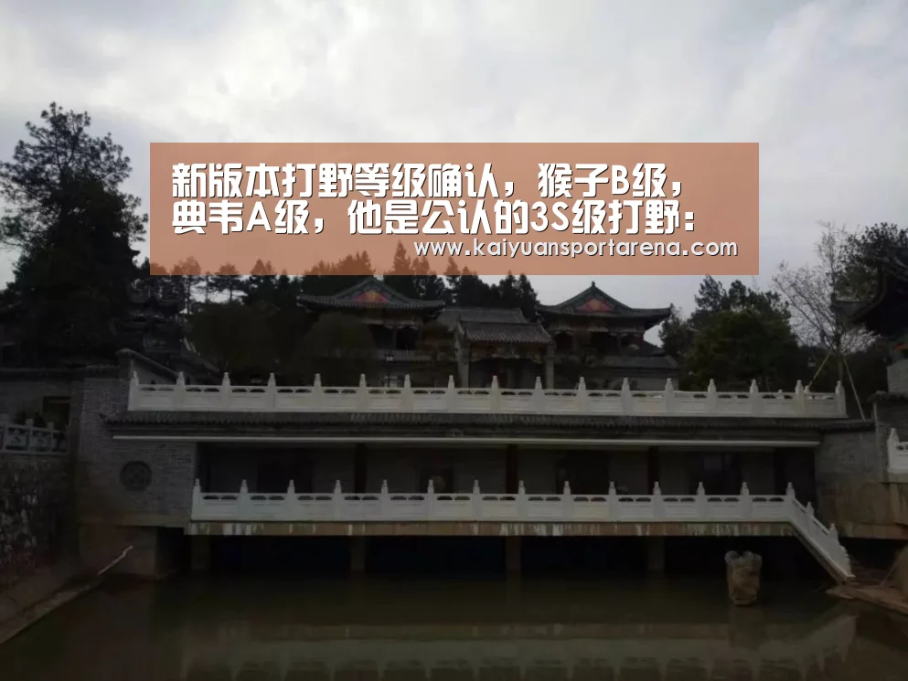 新版本打野等级确认,猴子B级,典韦A级,他是公认的3S级打野:开元下载(图2) 开元下载
